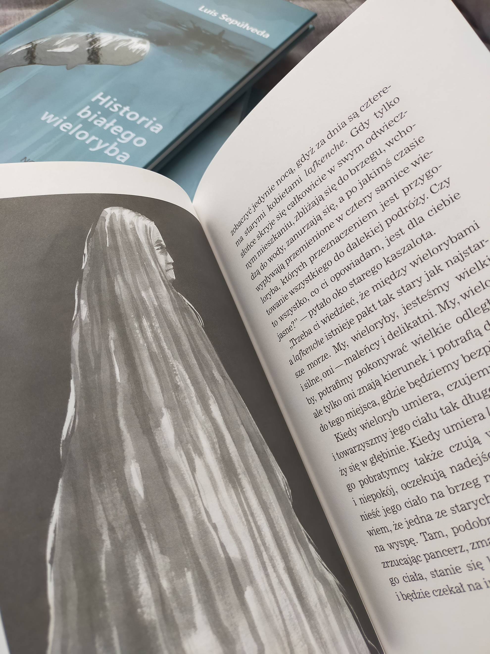 Marta R. Gustems — Illustrator and Writer