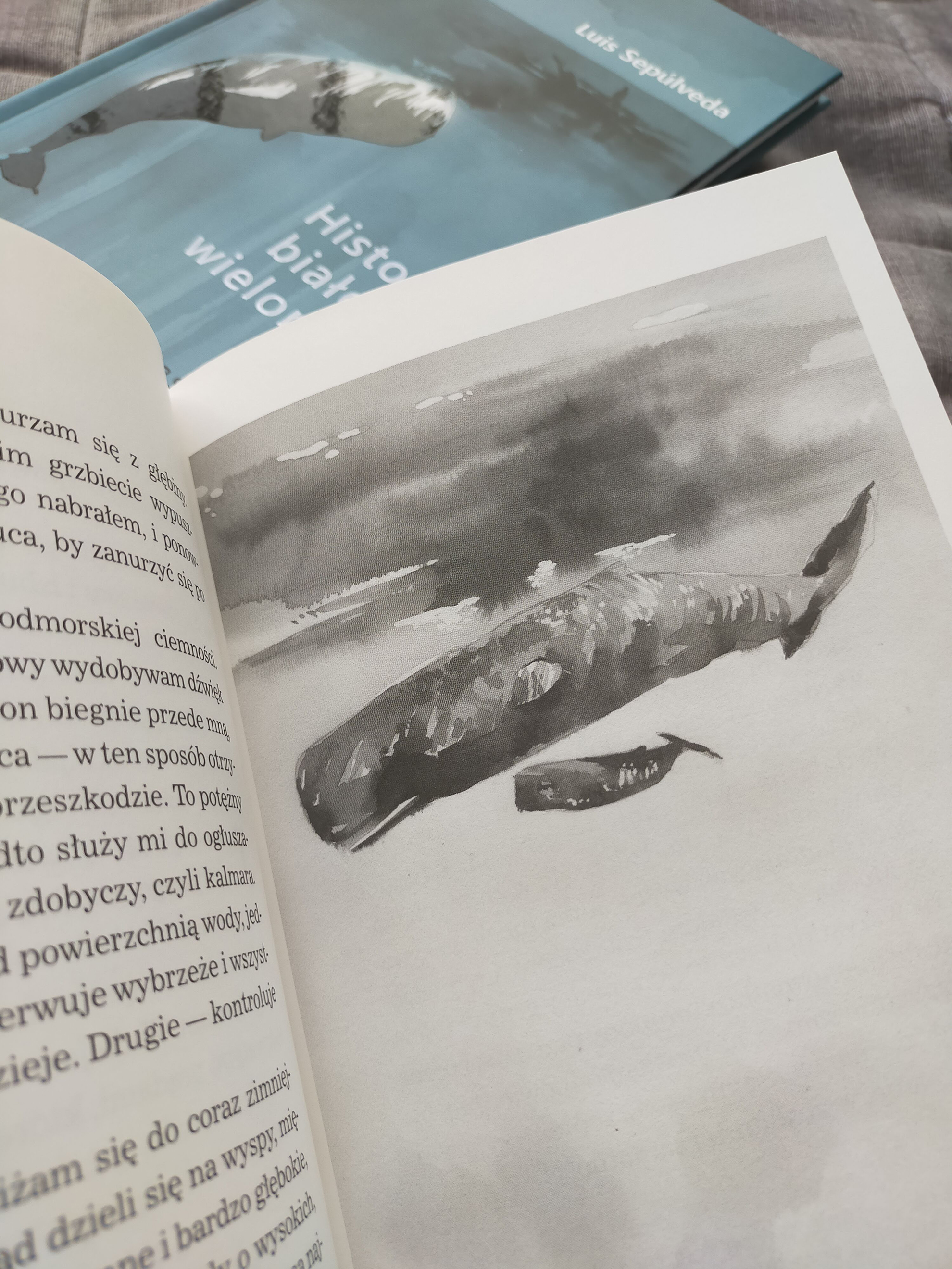 Marta R. Gustems — Illustrator and Writer