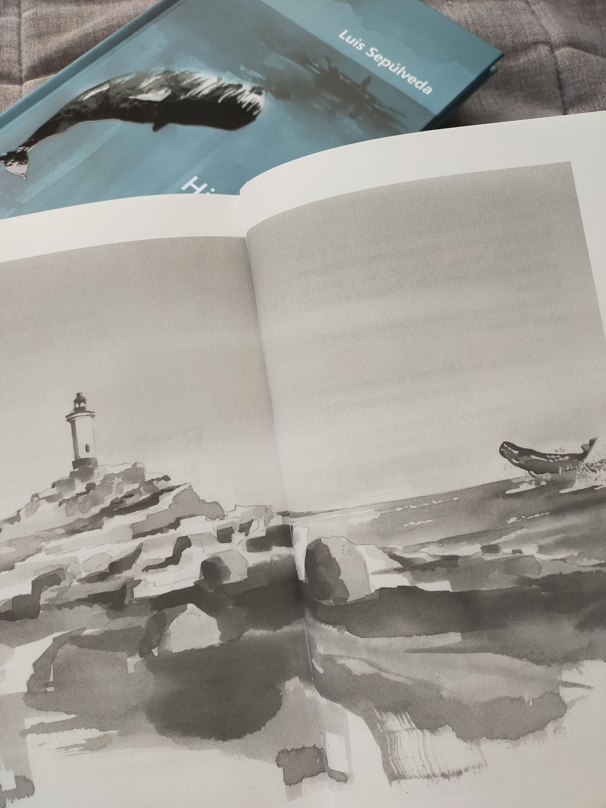 Marta R. Gustems — Illustrator and Writer