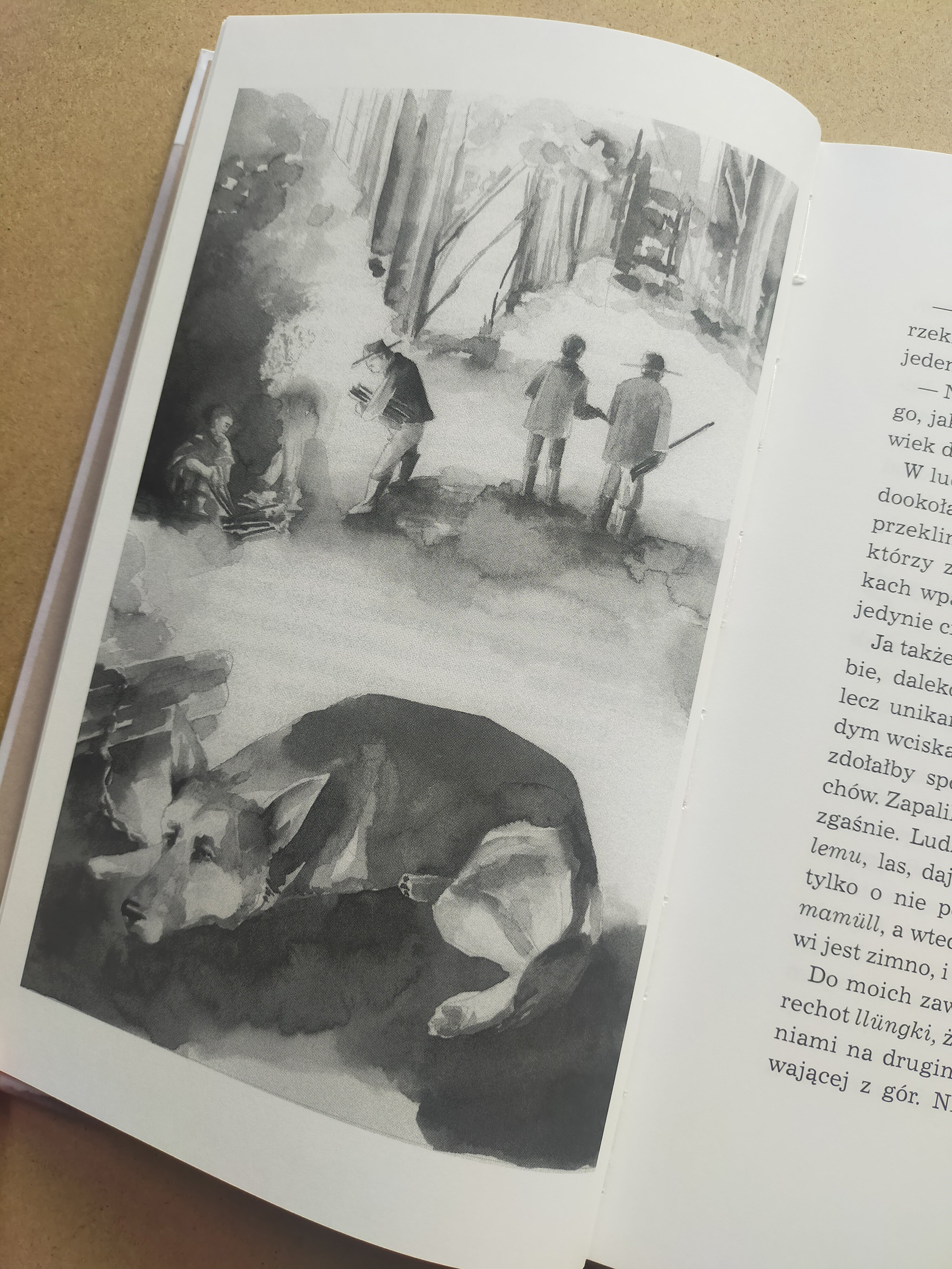 Marta R. Gustems — Illustrator and Writer