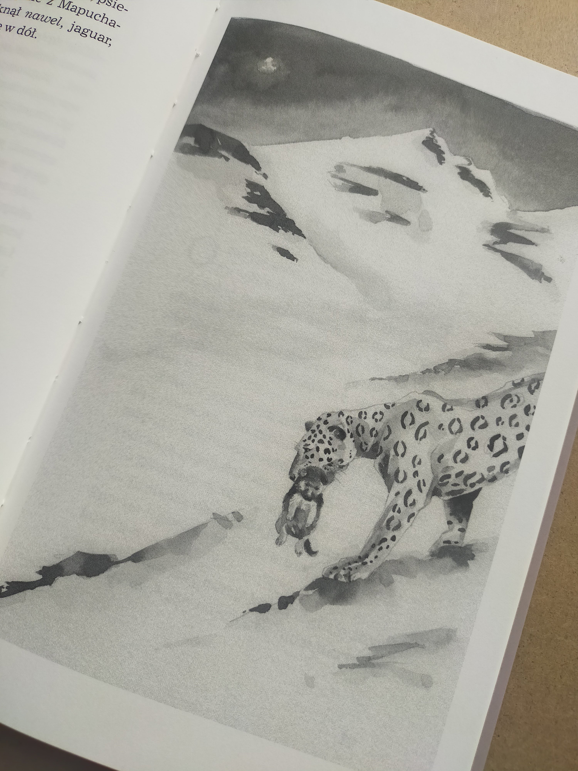 Marta R. Gustems — Illustrator and Writer