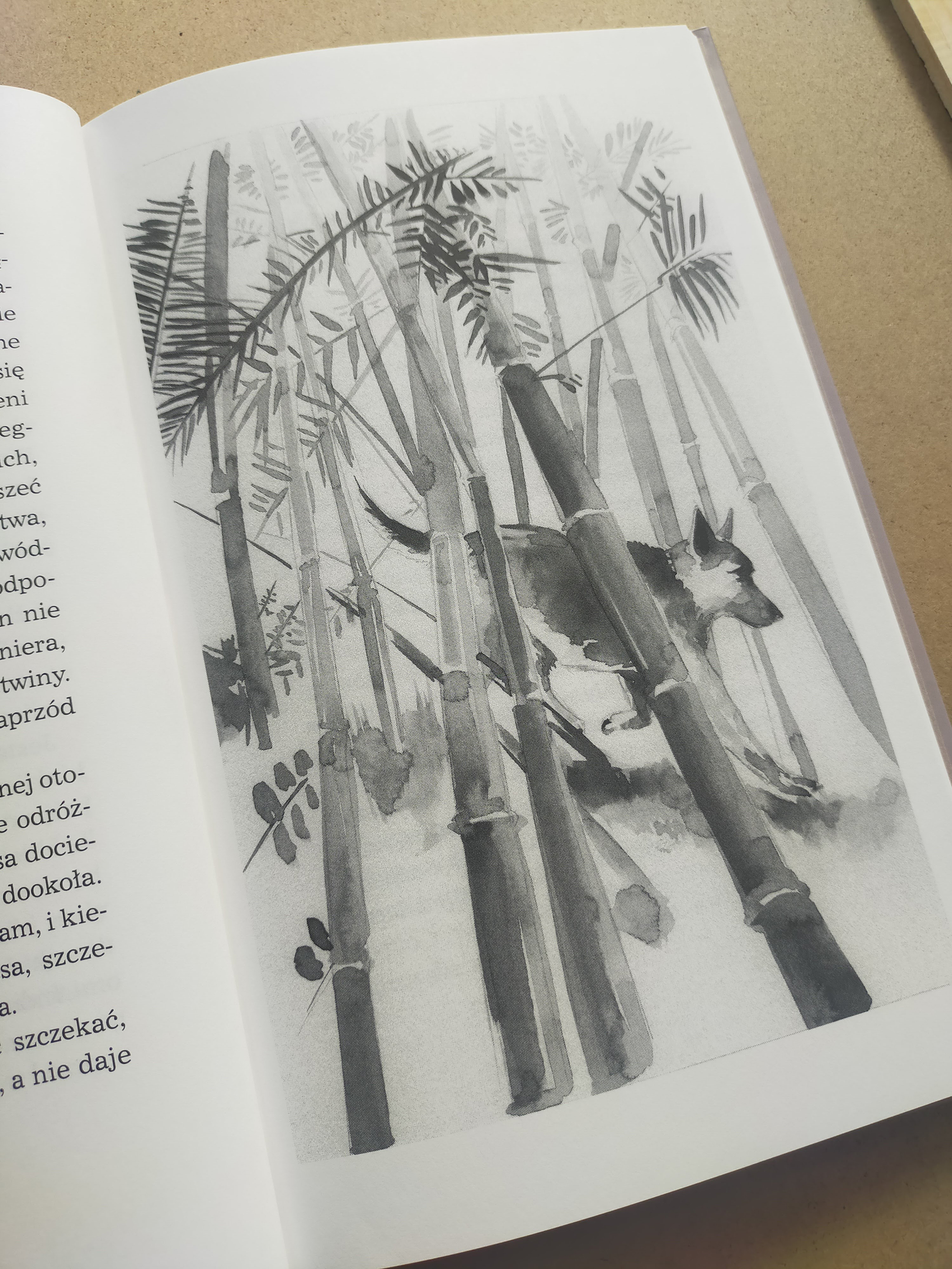 Marta R. Gustems — Illustrator and Writer