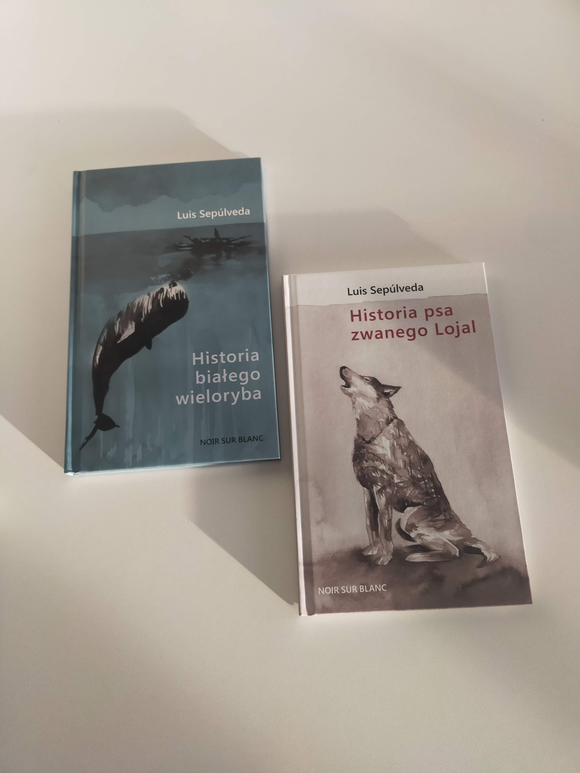 Marta R. Gustems — Illustrator and Writer