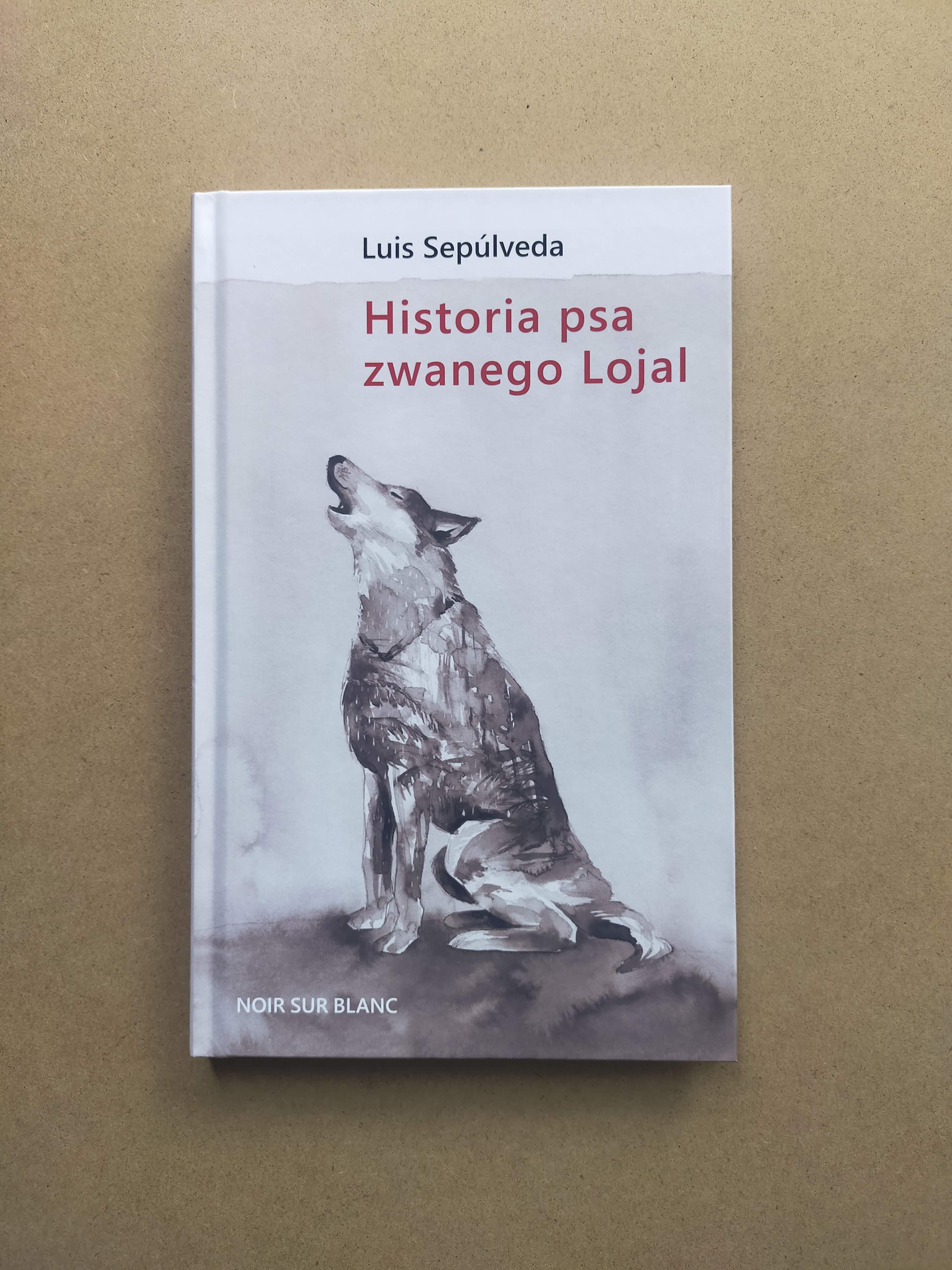 Marta R. Gustems — Illustrator and Writer